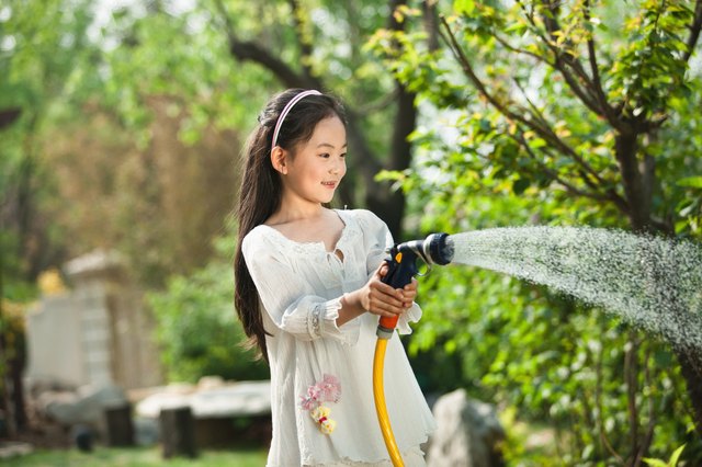 The basic act of spraying off plants can eliminate many pests.