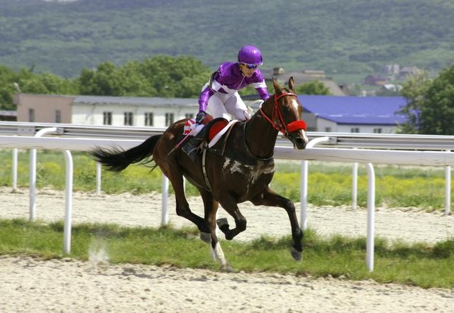Horse jockey's racing.