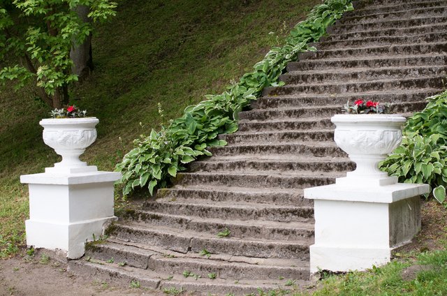 Ground cover plants are an attractive edging next to old stone steps.