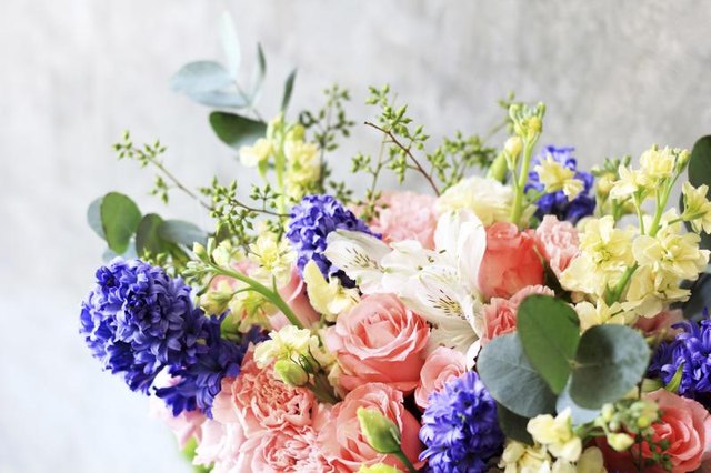 Intensely fragrant purple hyacinths hold their own against strong-scented companions.