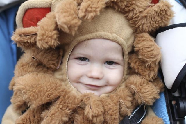 Young child wearing a lion costume.