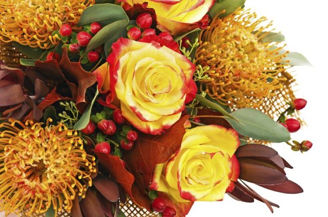 Red hypericum filler adds colorful accents to seasonal arrangements.