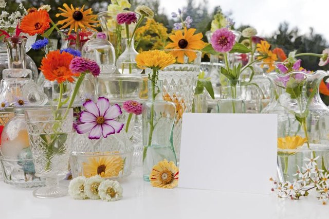 Design a cutting garden around the flower colors that complement your home decor.
