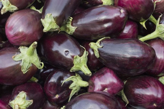 Large pile of eggplants.