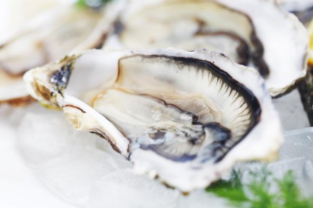 Close-up of oysters on ice.