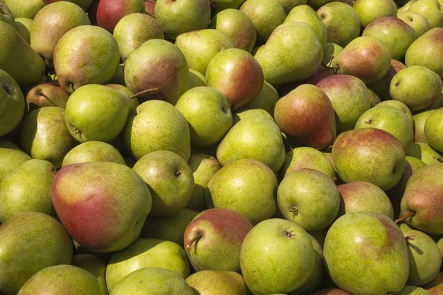 Spraying pear trees can lead to beautiful fruit.