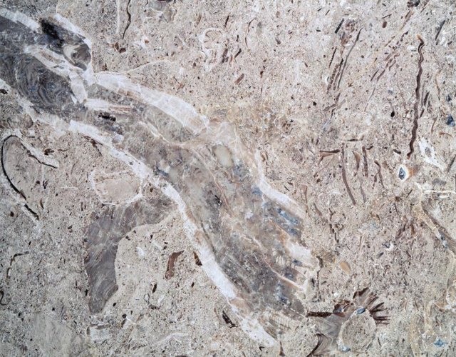 A slab of marble stone.