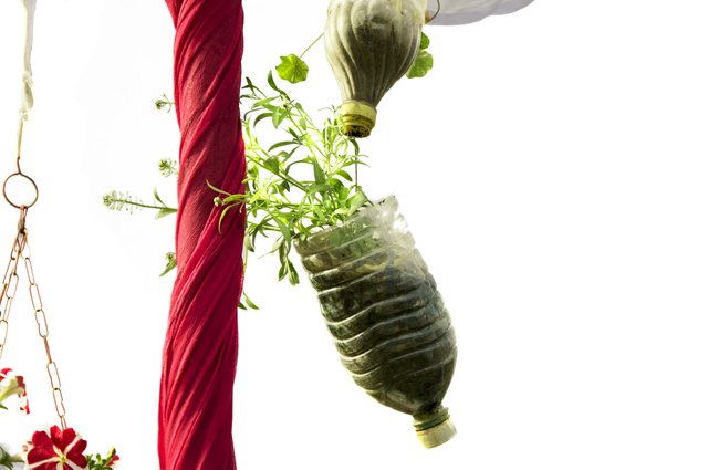 One option for a vertical garden is a plastic bottle container.