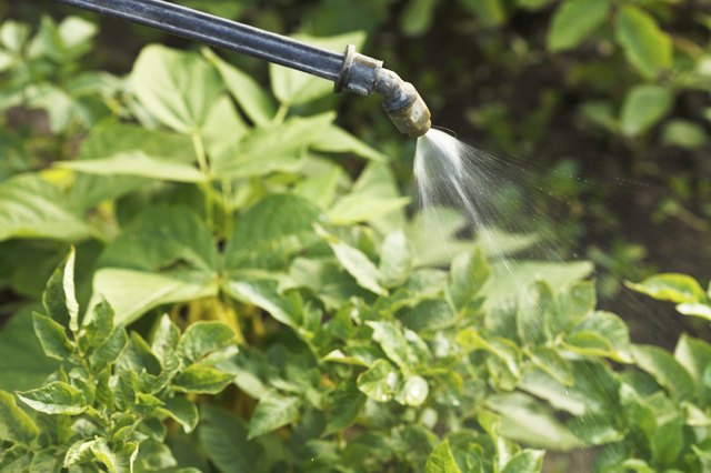 Herbicides are associated with many benefits and drawbacks.