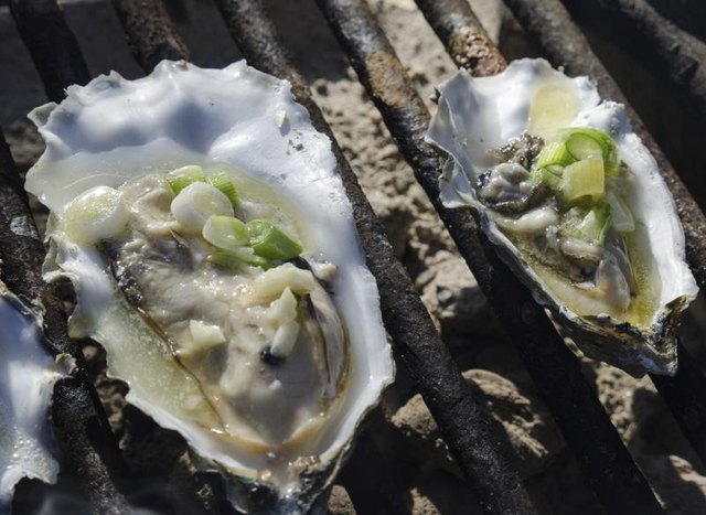 Oysters on grill.