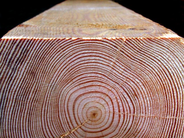 Red cedar has a tight grain and distinctive color.