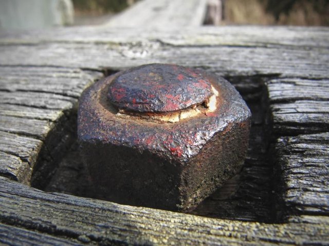 An old hexagon sided screw-nut in wooden fence