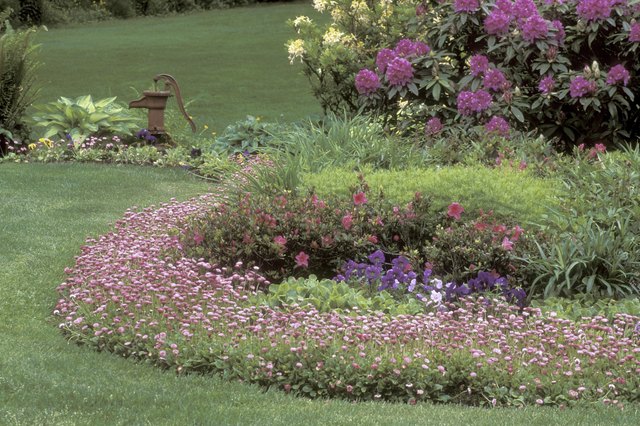 Plants stair-step downward in height from the large shrub in back.