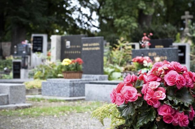 Graveyard with flowers on multiple graves.