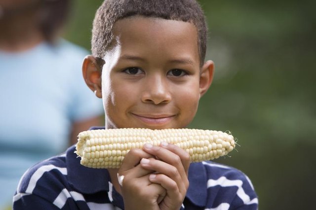 A boy holding corn on the cob.