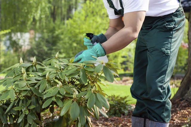 Wear protective clothing when spraying your pesticide.