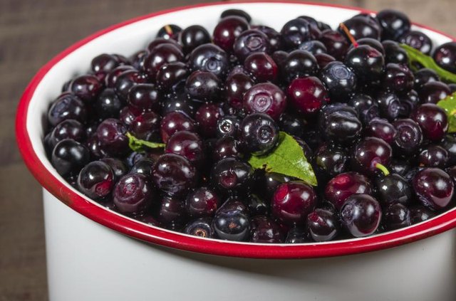 Bowl of huckleberries.