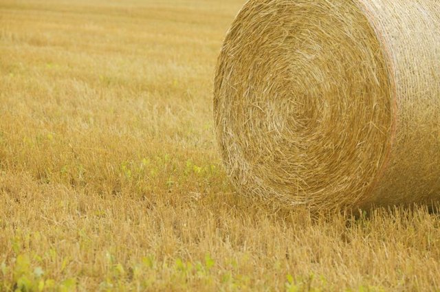 Bale of hay.