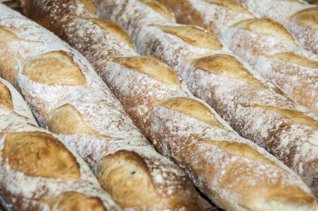 Fresh bread for sale at a bakery Fresh bread for sale at a bakery