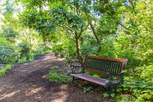 Shady sites provide relief from the hot summer sun for many moisture-tolerant shrubs.