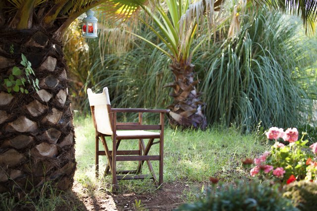 Foliage plants plus bright blossoms create a tropical look.