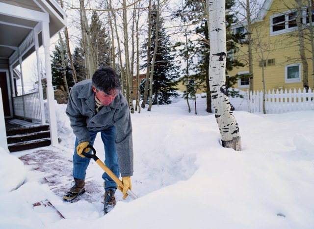 When shoveling snow, avoid piling it on or around plants.