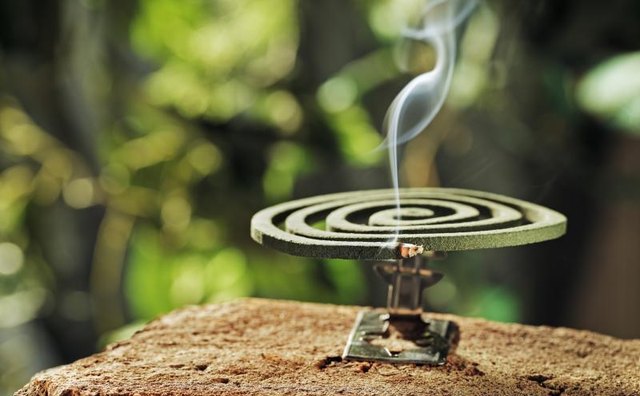 A repellent coil burning.