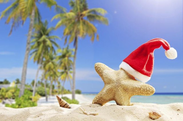 Starfish with Santa hat