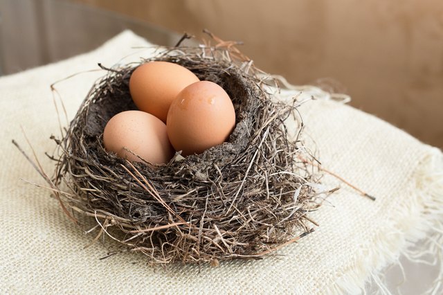 How to Hatch Chicken Eggs at Home Without an Incubator  eHow