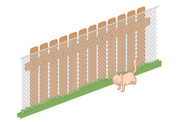 fence cat proofing