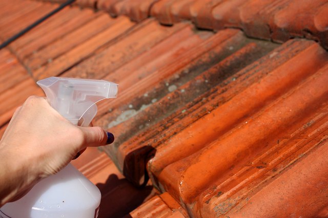 Removing Lichen From Asphalt Shingles