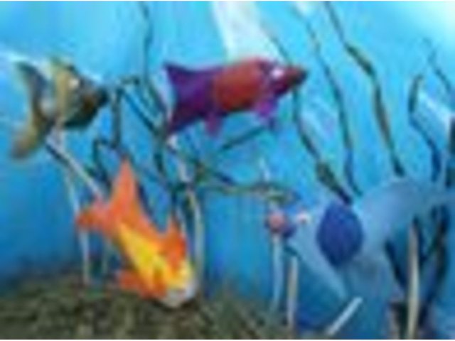 An ocean of plastic fish! An ocean of plastic fish!