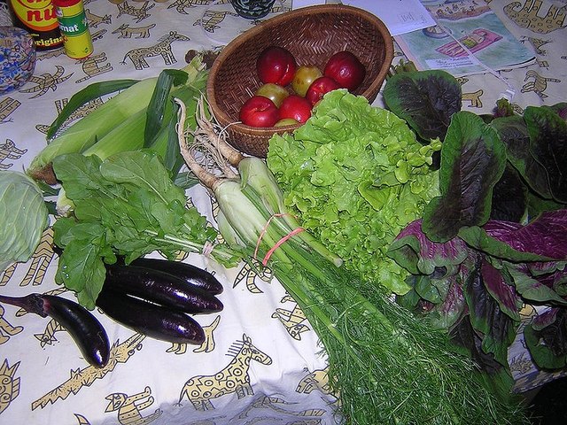 Eating fresh fruits and vegetables is a great way to lose weight while you get healthy. Eating fresh fruits and vegetables is a great way to lose weight while you get healthy.