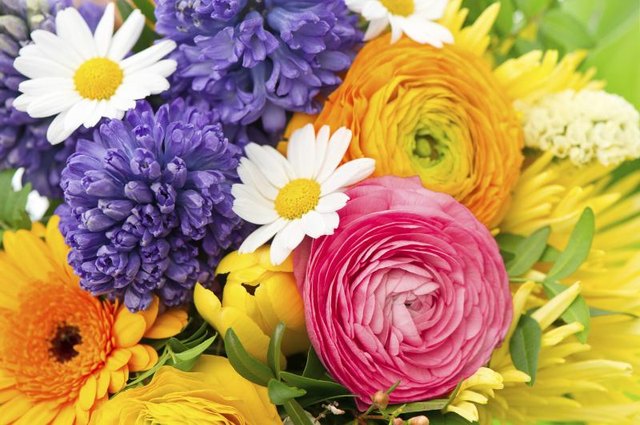 Rounded ranunculus brim with petals, but leave fragrance to other blooms. Rounded ranunculus brim with petals, but leave fragrance to other blooms.