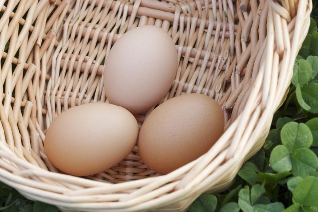 Shell color has no bearing on the freshness of the egg. Shell color has no bearing on the freshness of the egg.