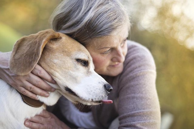 An older woman with a dog. An older woman with a dog.