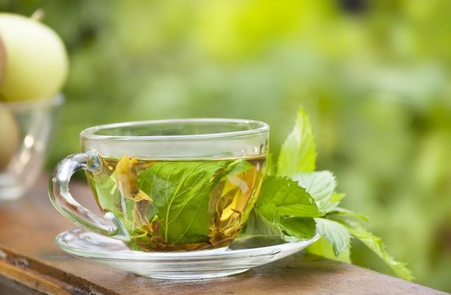 A cup of green mint tea. A cup of green mint tea.