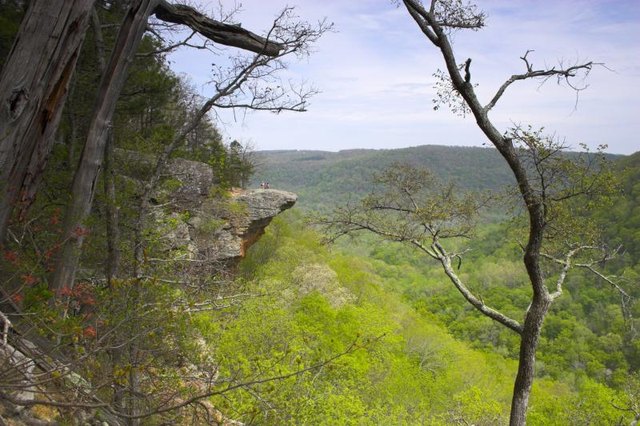 The view of a forested valley from a cliff in Arkansas. The view of a forested valley from a cliff in Arkansas.