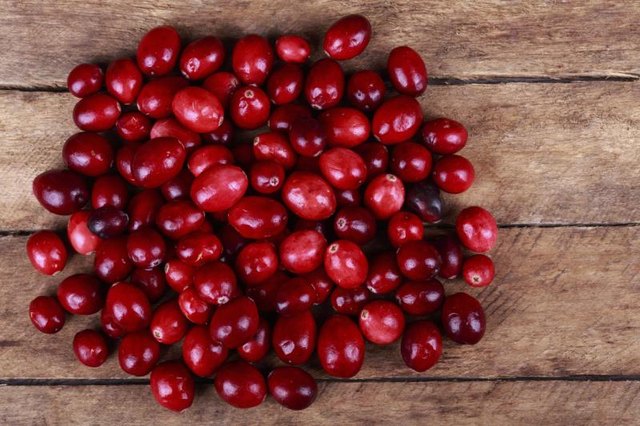 Fresh, ripe cranberries on tabletop. Fresh, ripe cranberries on tabletop.