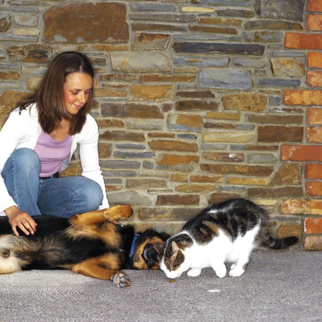 The staph germs can be spread from pets to people.