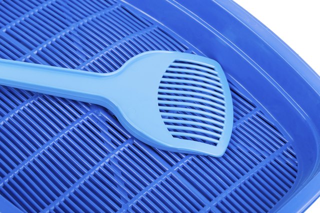 Close-up of a scoop on an empty litter tray