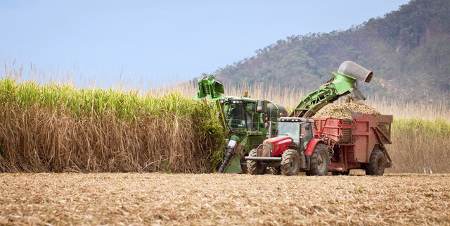 Sugar cane fields are harvest in tropical Queensland, Australia.