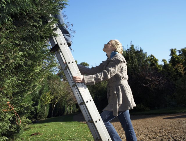 Only one person on the ladder at a time for safety.