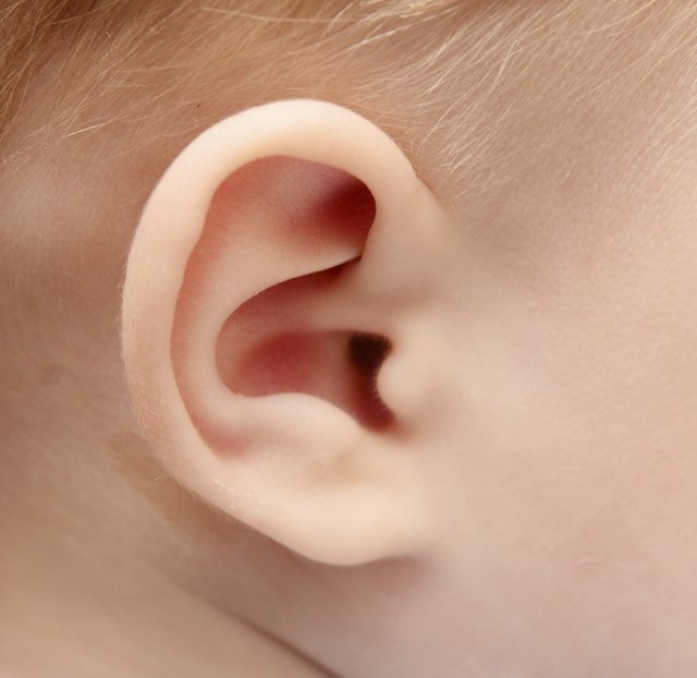Closeup of toddler ear