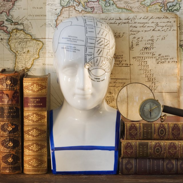 Phrenology diagram.