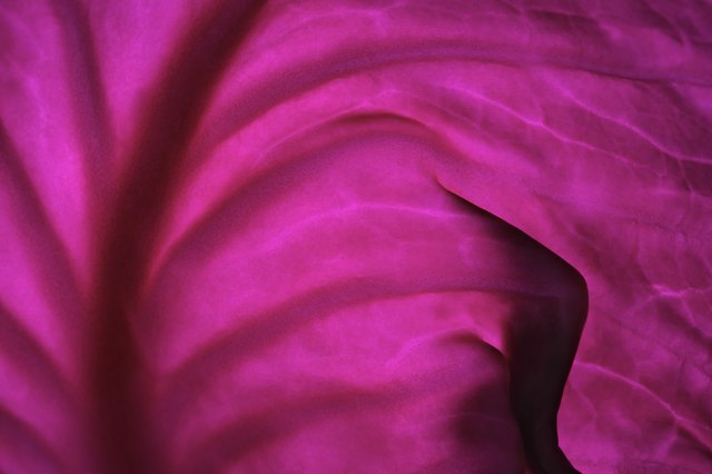 The water from boiled red cabbage helps test pH levels.