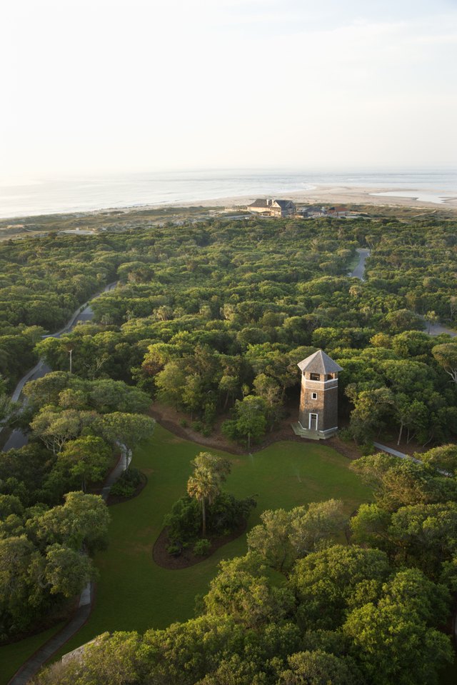 An aerial view of the ocean and the forest on the coast in North Carolina.
