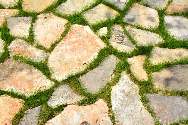 Groundcovers never need mowing, as this grass undoubtedly does.