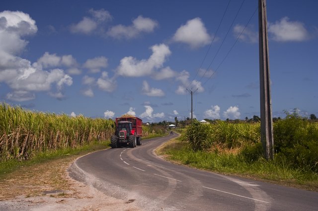 A tractor carries a load of sugar cane on the island of Guadeloupe in the Caribbean.