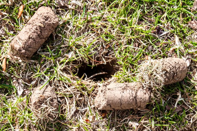 Aerating your lawn reduces soil compaction.